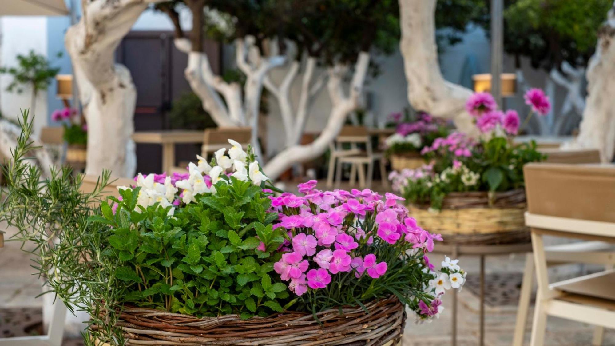 La Sommita Relais & Chateaux Ostuni Kültér fotó
